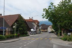 2012-05-26-Seeland (Foto Dietrich Michael Weidmann) 245